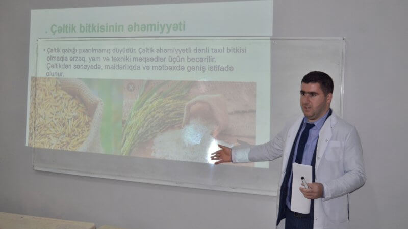 Kollecdə “Çəltikçilik” mövzusunda tədbir keçirildi.