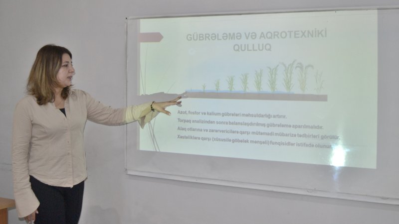 Kollecdə “Çəltikçilik” mövzusunda tədbir keçirildi.