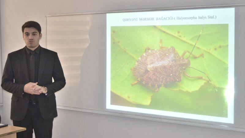 Kollecdə Dövlət  proqramlarına uyğun olaraq  “Qəhvəyi mərmər bağacığı” mövzusunda seminar keçirildi.