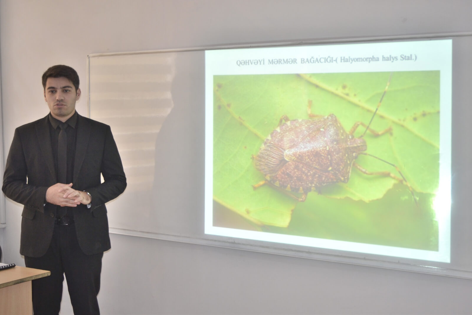 Kollecdə Dövlət  proqramlarına uyğun olaraq  “Qəhvəyi mərmər bağacığı” mövzusunda seminar keçirildi.